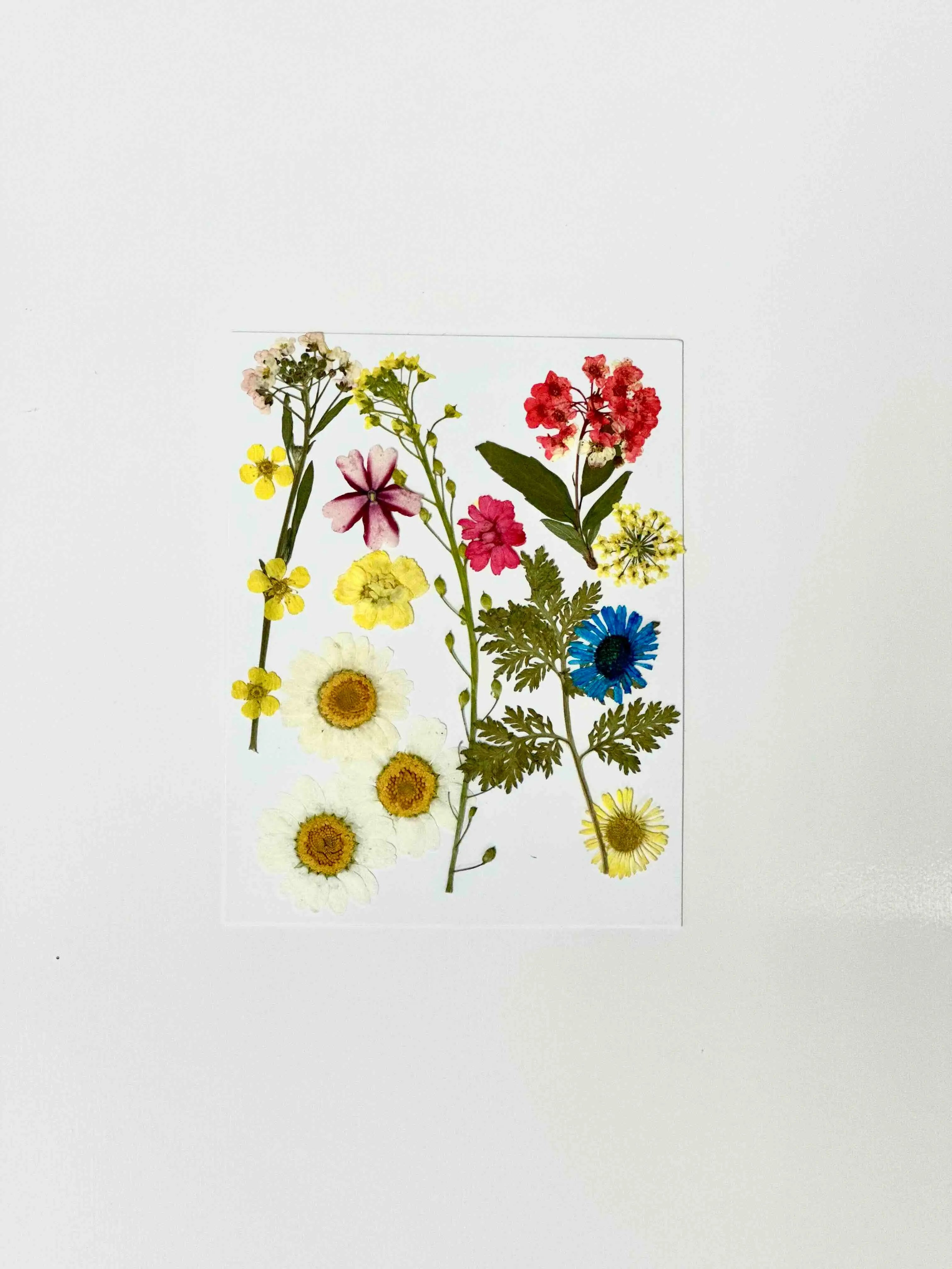 UV Resin Starter Kit PrimeFinds